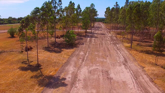 jardines_del_chaco_06