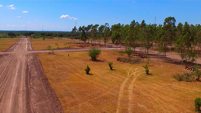 jardines_del_chaco_11