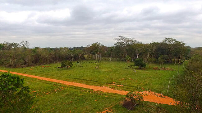 portal_de_horqueta_06