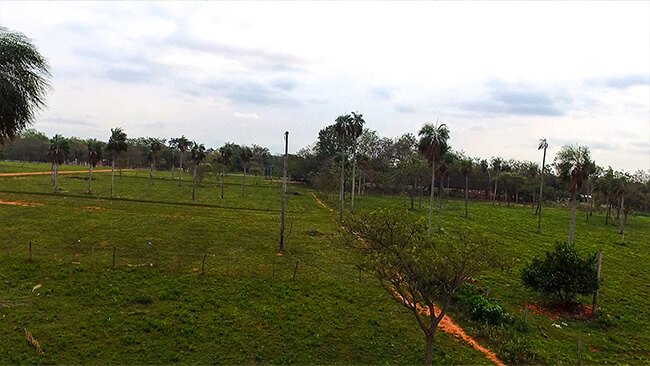 portal_de_horqueta_07