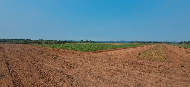 WhatsApp Image 2024-08-28 at 09.27.24